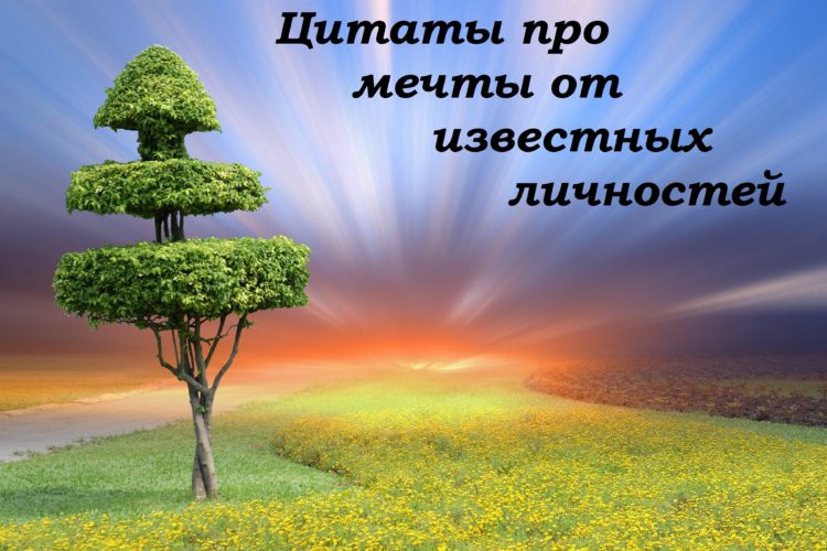 Цитаты про мечты ? 100 красивых афоризмов